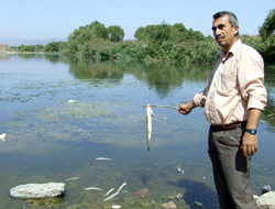 Balıklar kovalarda dereye taşındı