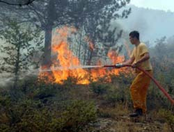 Alanyadaki orman yangınları